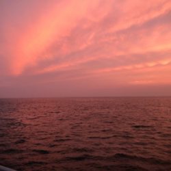 ツバス狙いで入れ食い