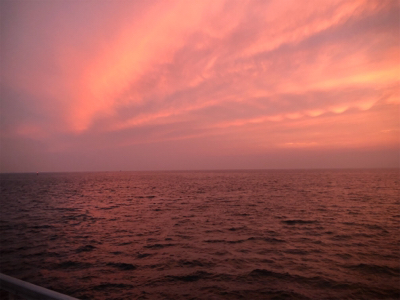ツバス狙いで入れ食い