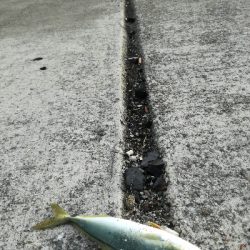 ショアジギング