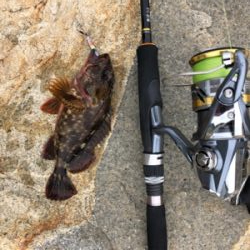 ガシラがつりたいわけじゃ‥。