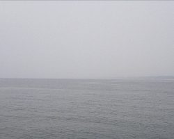 ねばってみたものの