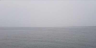 ねばってみたものの