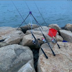 夕方はうなぎ釣り