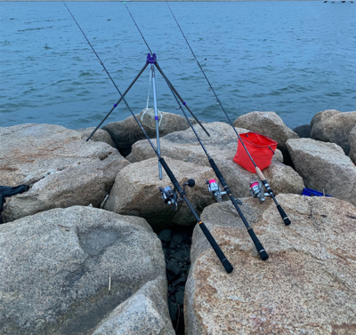 夕方はうなぎ釣り