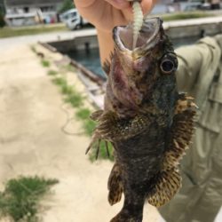 暇潰しのライトゲーム