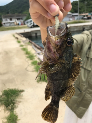 暇潰しのライトゲーム