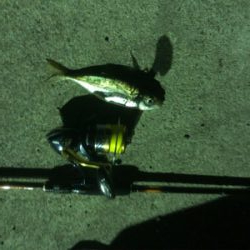 秋田男鹿堤防にて