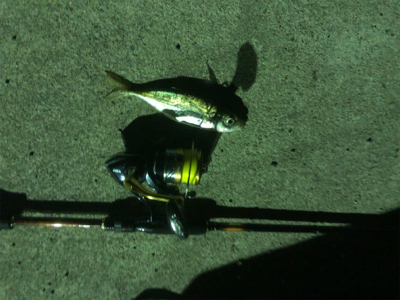 秋田男鹿堤防にて