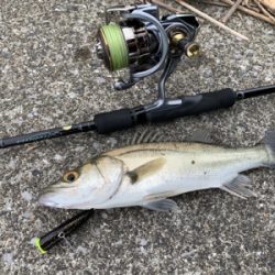 爆風トップゲーム