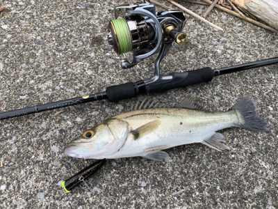 爆風トップゲーム