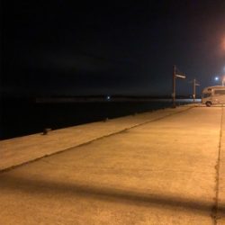 アジの季節到来