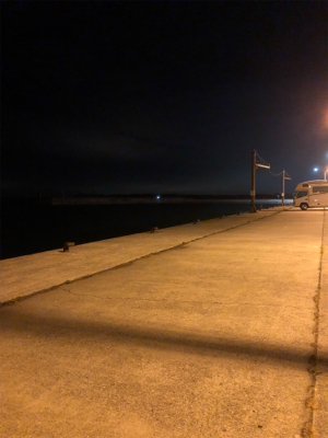 アジの季節到来