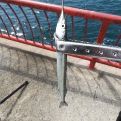 ショアジギング失敗