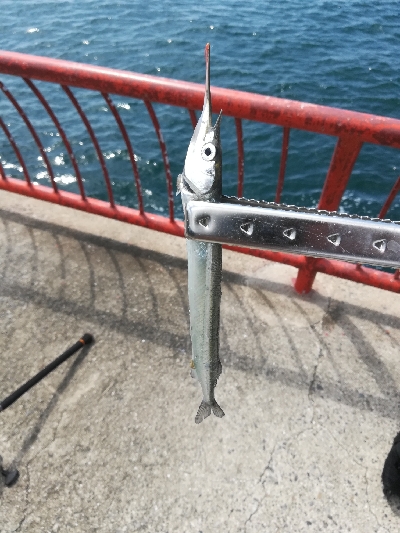 ショアジギング失敗