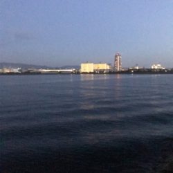 遊んで頂きました!