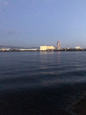 遊んで頂きました!