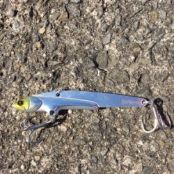 ビッグバッカー 鰤カスタム