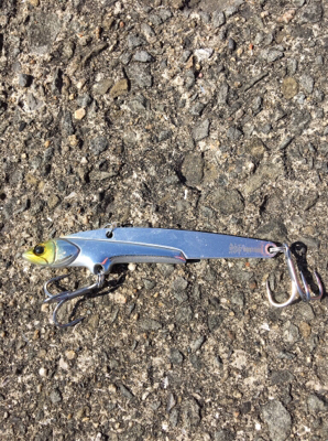 ビッグバッカー 鰤カスタム