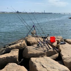 夕方からうなぎ釣り