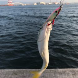 ちびっ子サイズ