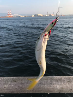 ちびっ子サイズ