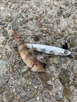 シーバスロッド