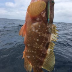 マイボートで丹後釣行。