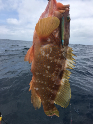 マイボートで丹後釣行。
