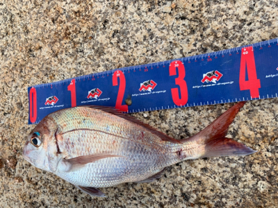 宇野沖 磯フカセ