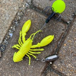 ビッグワン求めて