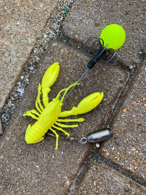 ビッグワン求めて