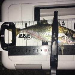 Fシステム-アジング