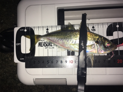 Fシステム-アジング