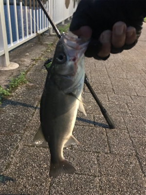 さて、サイズが…