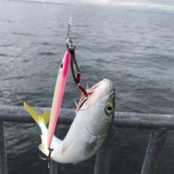 ノマセ がスゴい