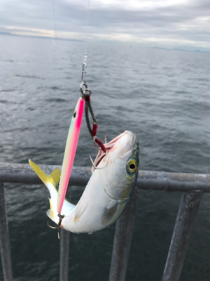 ノマセ がスゴい