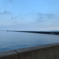 フォールでタチウオ