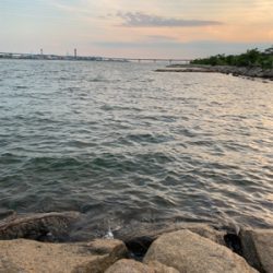 テナガエビ釣り