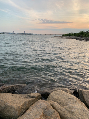 テナガエビ釣り