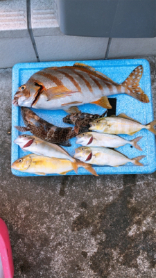 たくさん釣れた