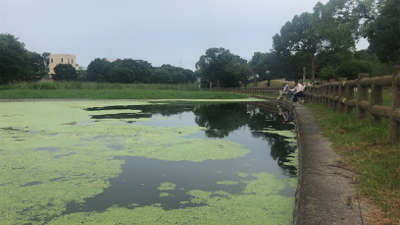 たまにはギンブナ釣り！