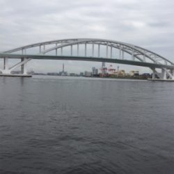 ツバス多いです！