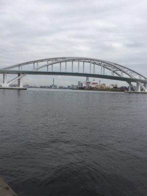 ツバス多いです！