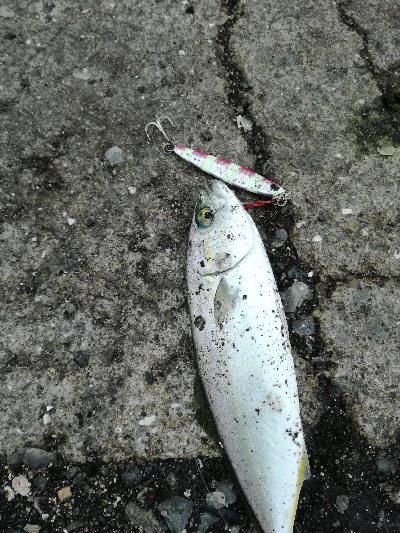 雨のちツーバス