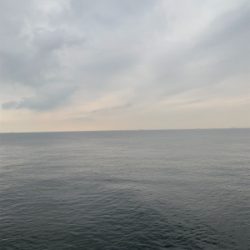 ツバス祭りに！