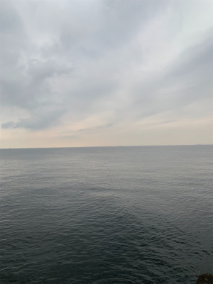 ツバス祭りに！