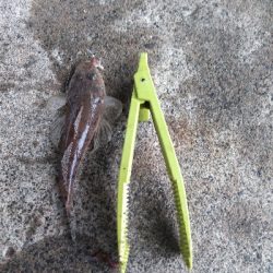 ココはパラダイスか