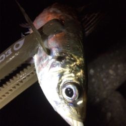 ジメジメ吹っ飛ばすライトゲーム!