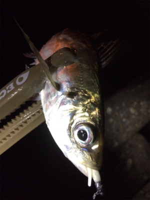 ジメジメ吹っ飛ばすライトゲーム!