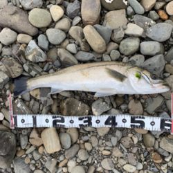 濁増水で水面爆発！